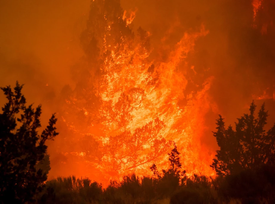 408459_oregon-wildfires_f.webp