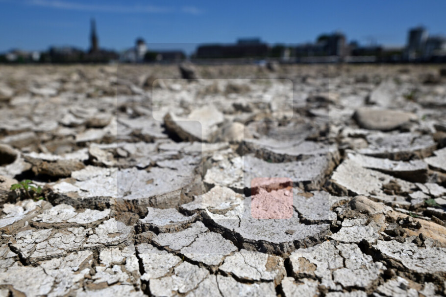 409403_germany-extreme-weather-drought_iff.jpg