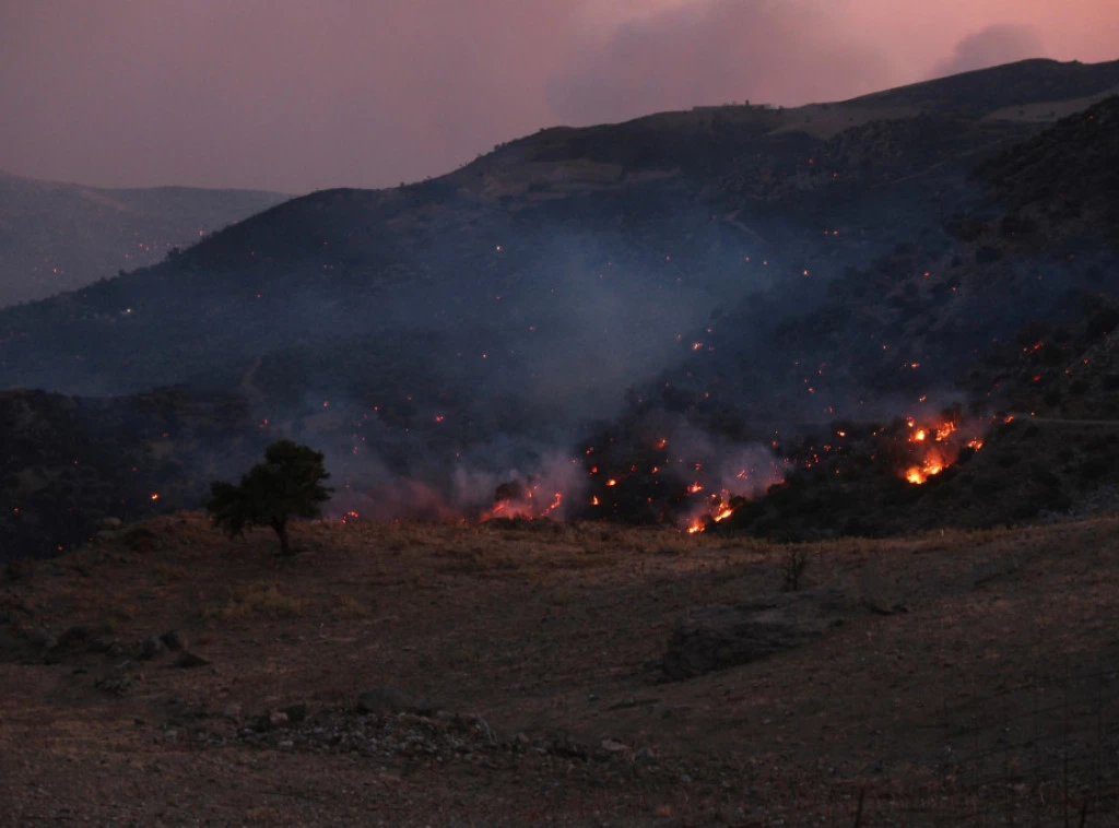 409454_greece-wildfire_f.webp