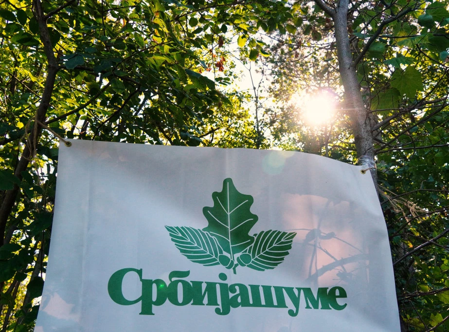 171539_srbijasume-obelezavanje-vucevic_f.webp