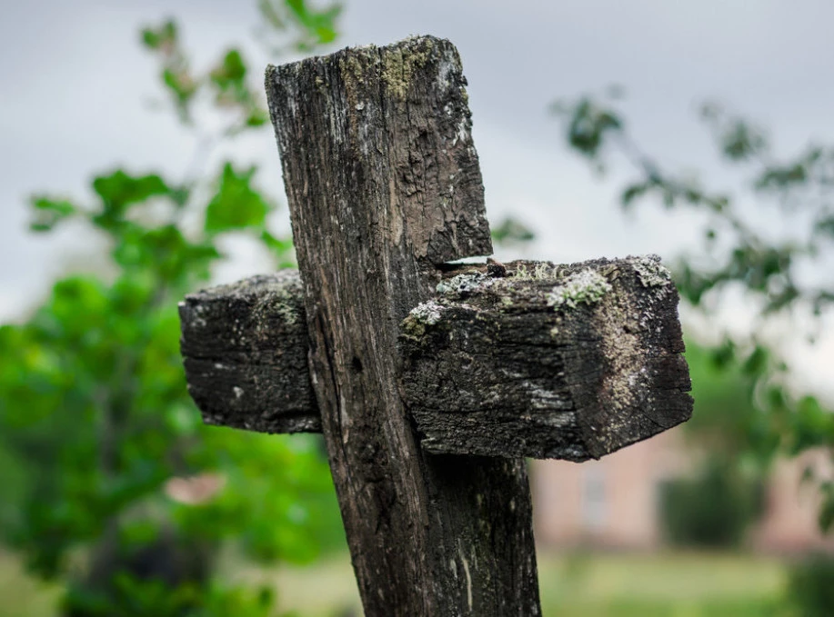 299502_shutterstock-1453561931_f.webp