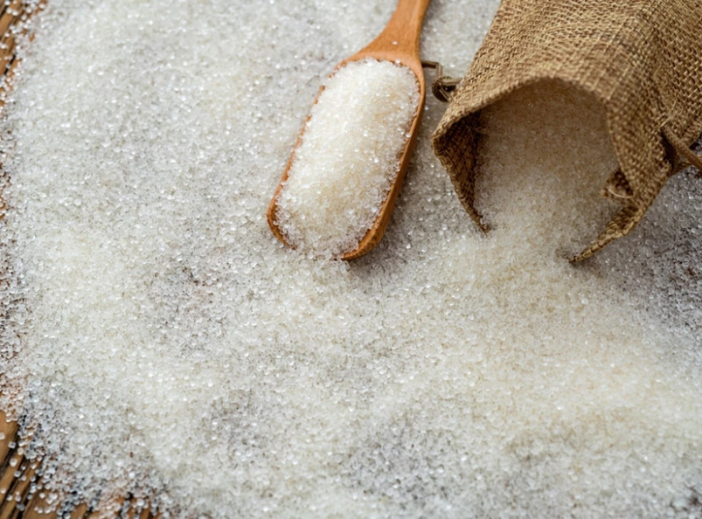 303624_shutterstock-2331590881_f.webp