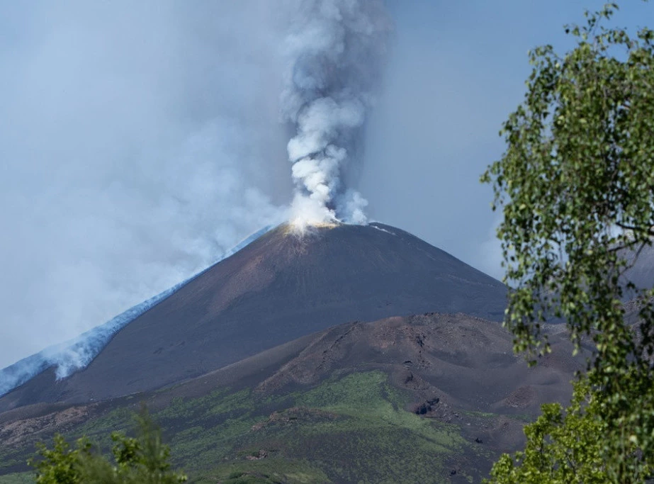 409667_shutterstock-2754707437_f.webp