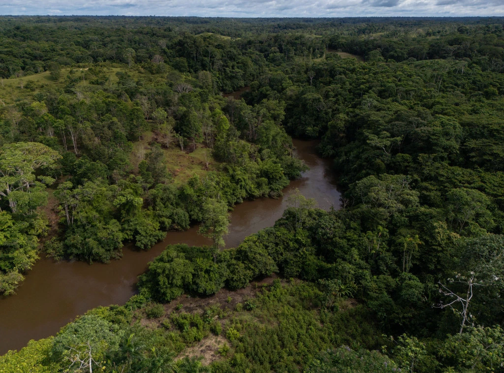410299_colombia-deforestation-report_f.webp
