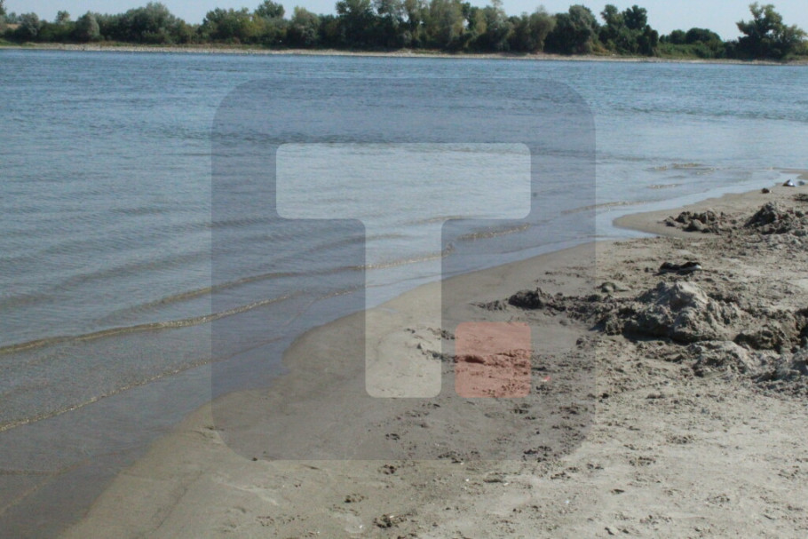 411348_nsad-dunav-kupalista_iff.jpg