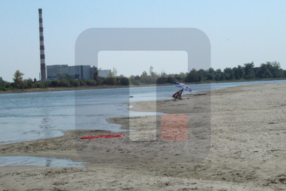 411353_nsad-dunav-kupalista_iff.jpg