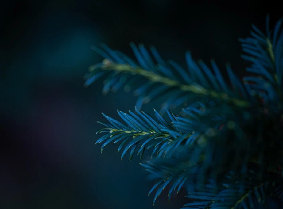 411891_shutterstock-2479315183_f.webp