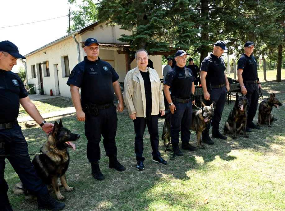 412329_dacic-obuka-psi_f.webp