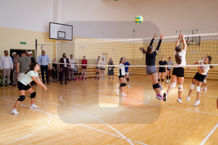 412720_kamp-micin-pavlovic_iff.jpg
