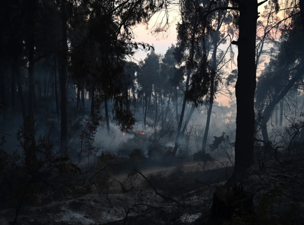 413858_aptopix-greece-wildfire_f.webp