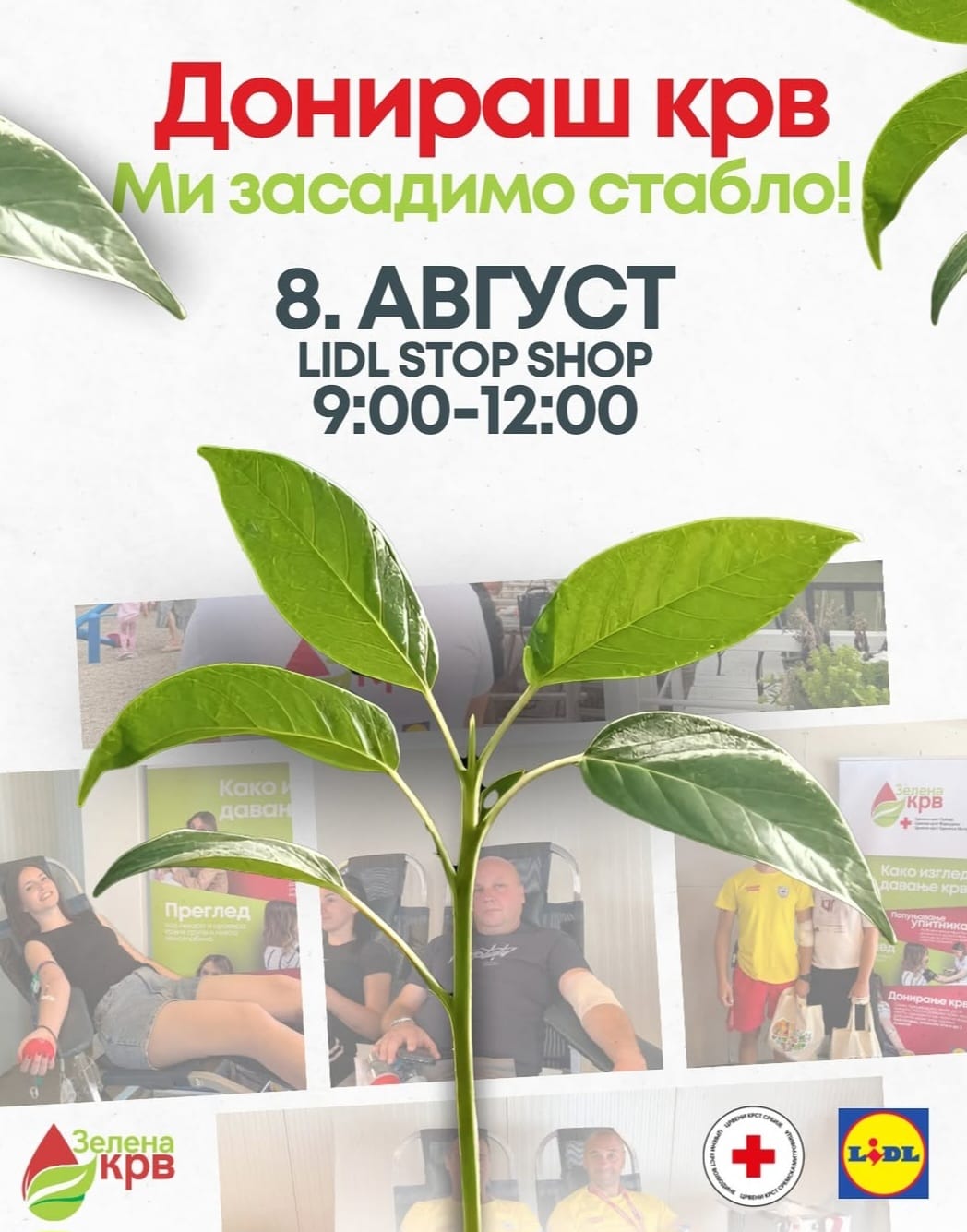 6a0079ff-5bef-43a8-bc28-3c88b1503e1c.jpg